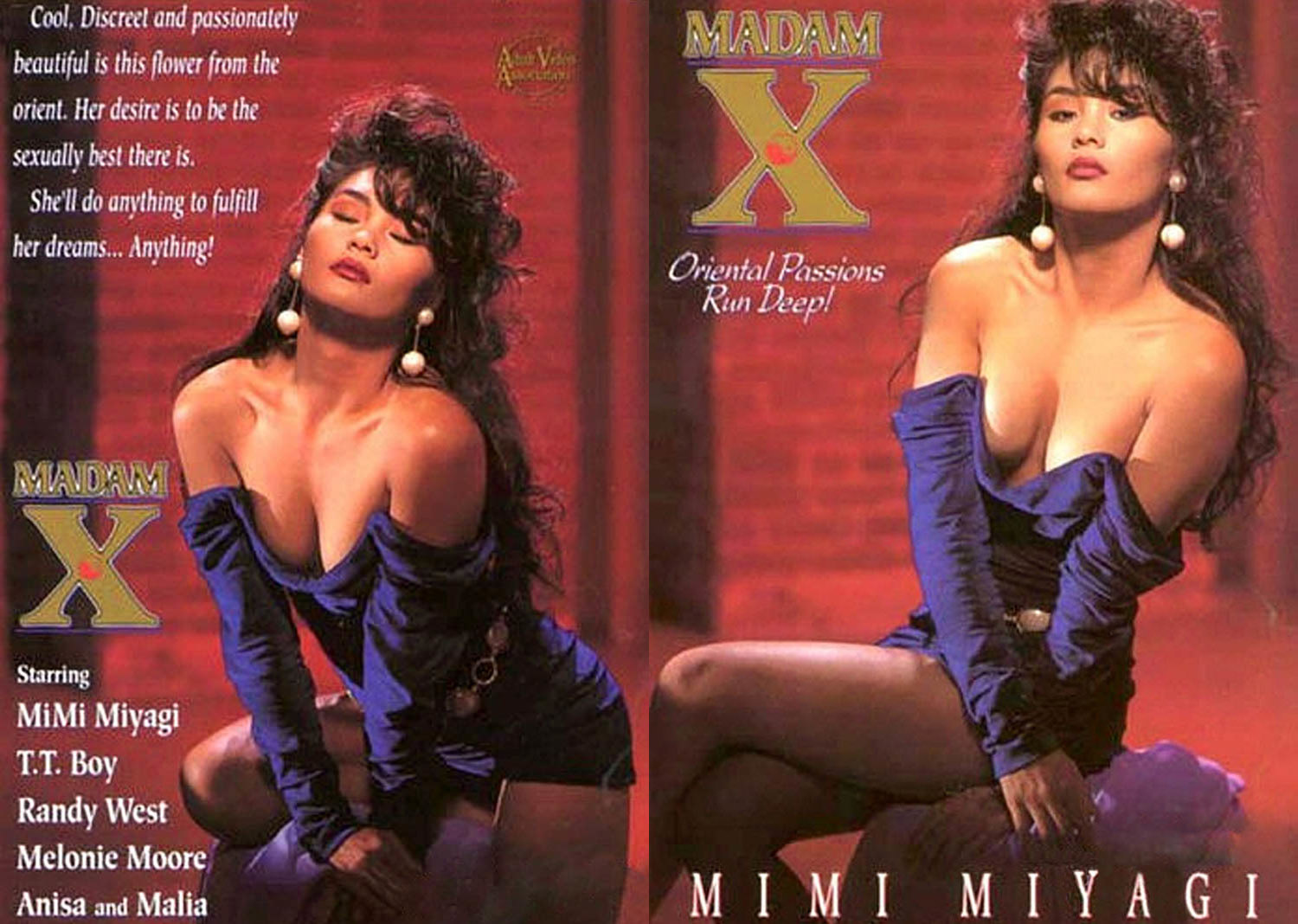 Madam X - 1991 - Henri Pachard