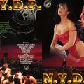 N.Y.D.P. – 1993 – Mitch Spinelli